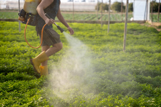 Best Best Pest Control Companies  in Cleburne, TX