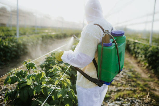 Best Flea Control Services  in Cleburne, TX